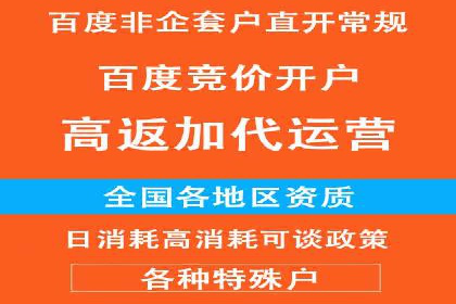 百度推广代运营公司助力企业快速占领市场